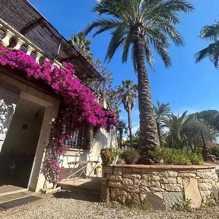 Les Palmiers Apartment Fréjus Exterior photo
