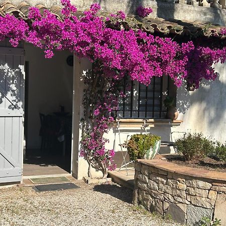 Les Palmiers Apartment Fréjus Exterior photo