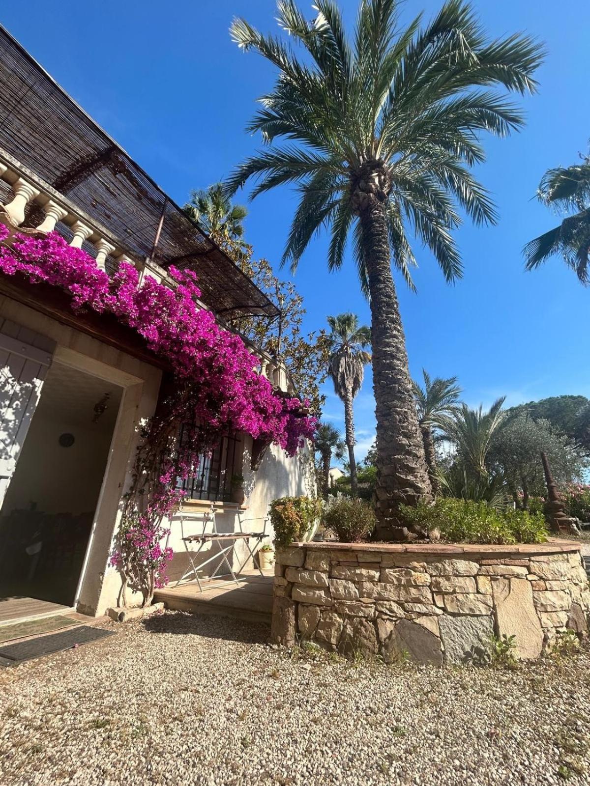 Les Palmiers Apartment Fréjus Exterior photo
