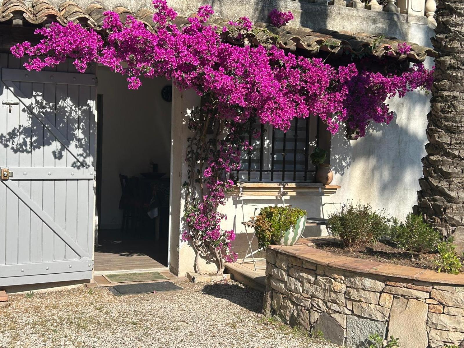 Les Palmiers Apartment Fréjus Exterior photo